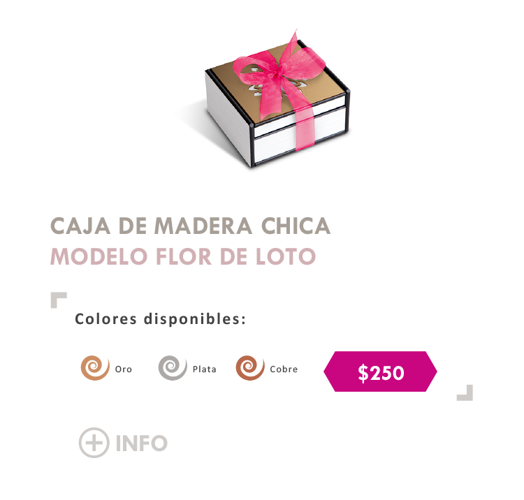 Caja Chica Flor