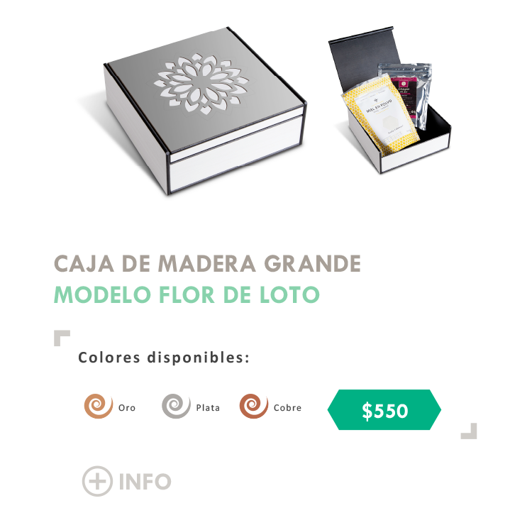 Caja Grande Loto